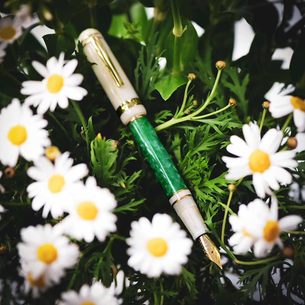 The daisy and the forest