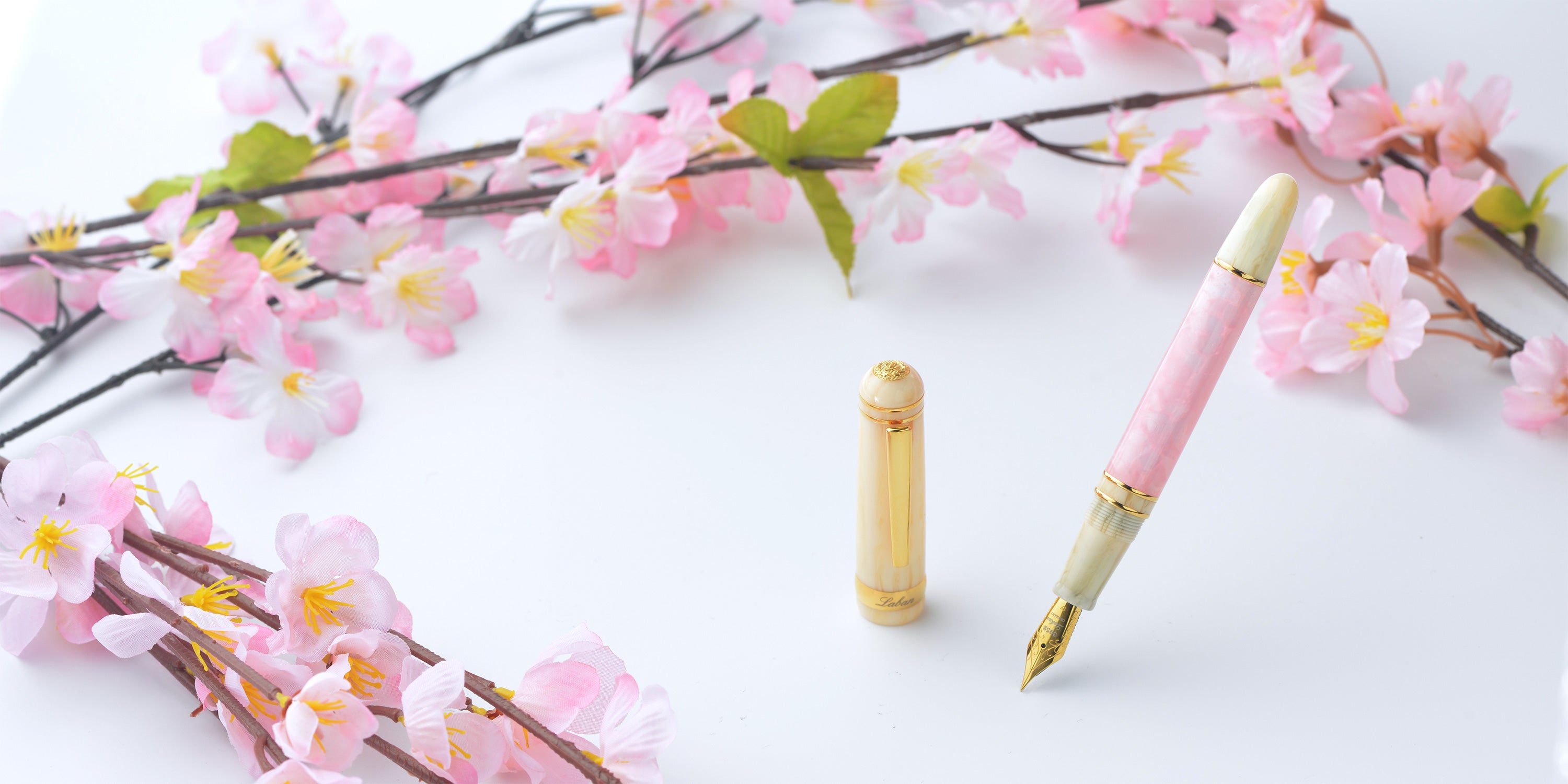 Cherry tree blossoms: LABAN SAKURA