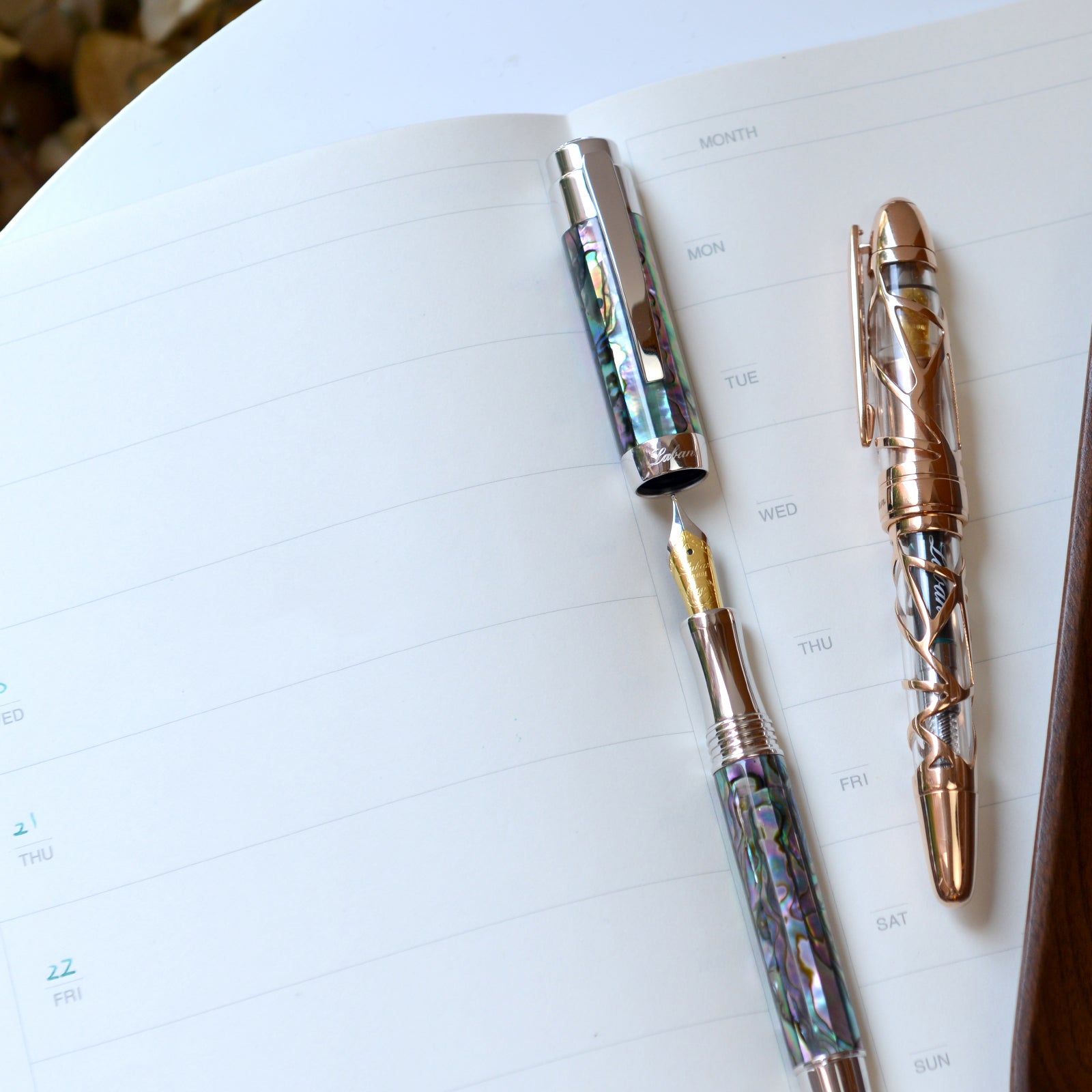BEGINNER'S GUIDE TO LABAN FOUNTAIN PENS